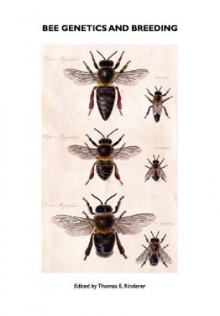 Книга Bee Genetics and Breeding T E Rinderer