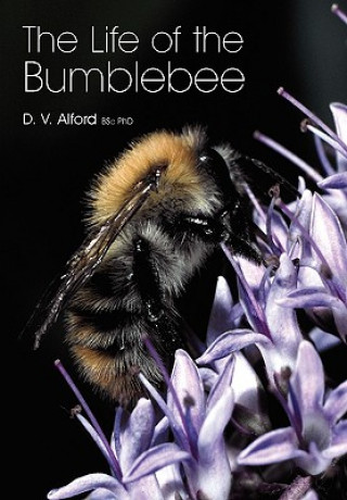 Carte Life of the bumblebee D V Alford