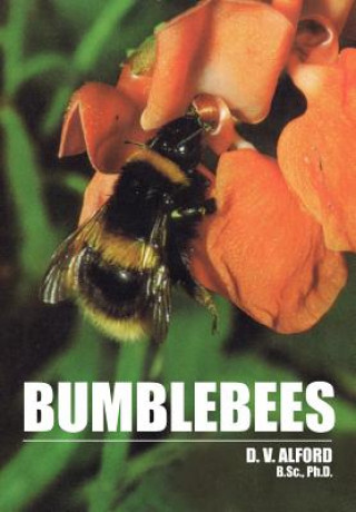 Kniha Bumble Bees D V Alford
