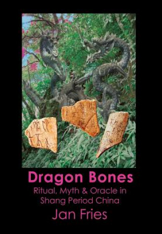 Książka Dragon Bones Jan Fries