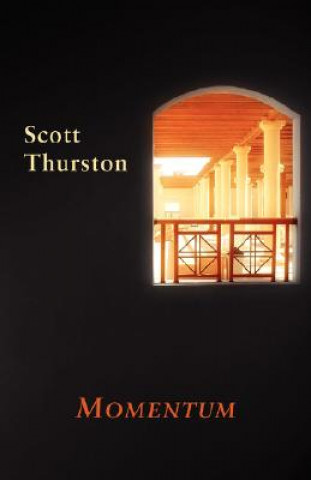 Buch Momentum Scott Thurston