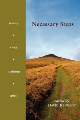 Könyv Necessary Steps David Kennedy