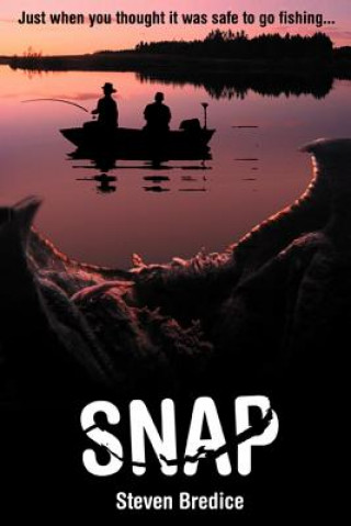 Knjiga Snap Steven Bredice