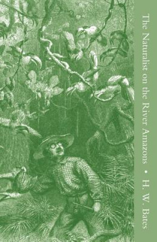 Książka Naturalist on the River Amazons Vol I Henry Walter Bates