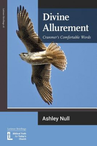 Kniha Divine Allurement Ashley J Null