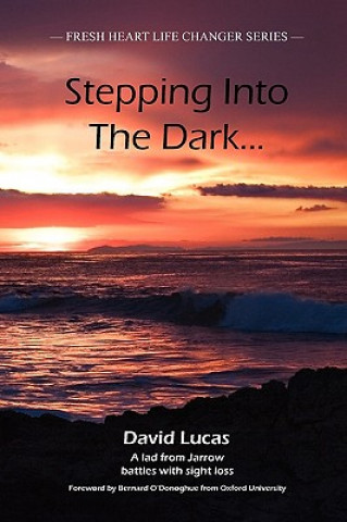 Kniha Stepping Into The Dark David Lucas