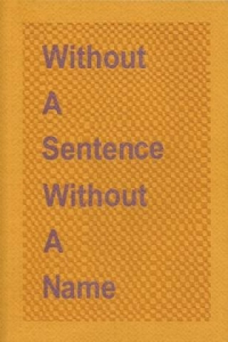 Buch Without a Sentence Without a Name Martha Ronk