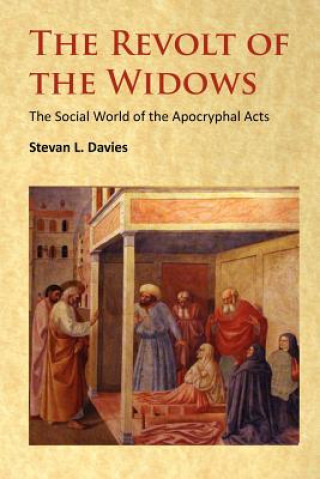 Kniha Revolt of the Widows Assistant Professor Stevan L Davies