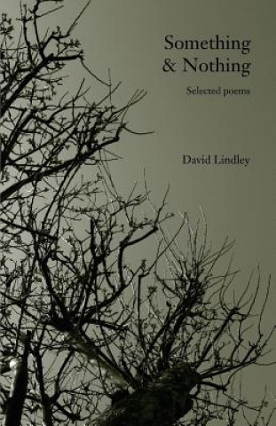 Könyv Something & Nothing David Lindley