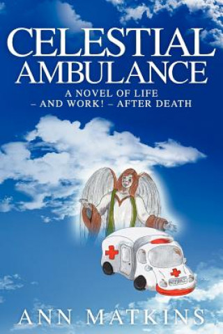 Kniha Celestial Ambulance Ann Matkins