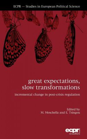 Carte Great Expectations, Slow Transformations Eleni Tsingou