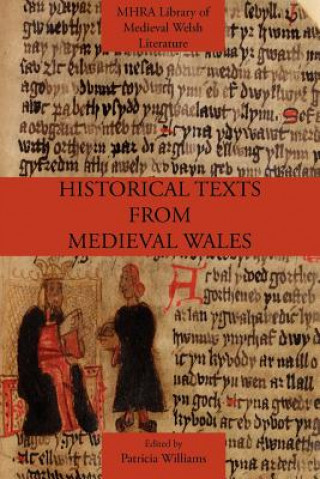 Книга Historical Texts from Medieval Wales Patricia Williams
