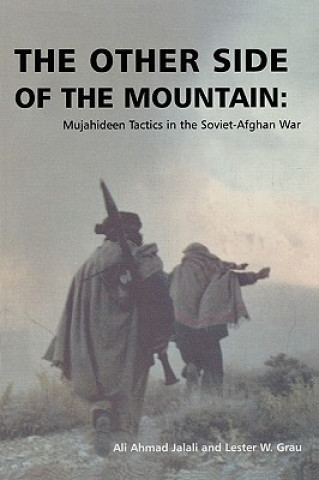 Книга Other Side of the Mountain Lester W. Grau
