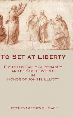 Libro To Set at Liberty Stephen K. Black