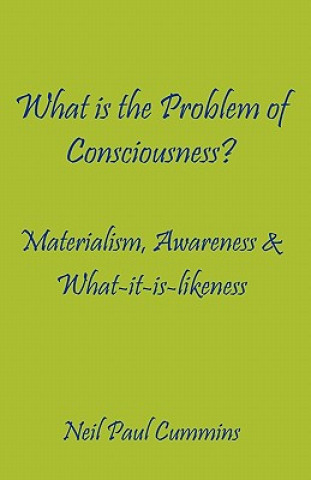 Carte What is the Problem of Consciousness? Neil Paul Cummins