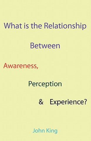 Könyv What is the Relationship Between Awareness, Perception & Experience? John King