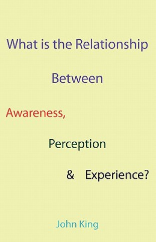 Kniha What is the Relationship Between Awareness, Perception & Experience? John King