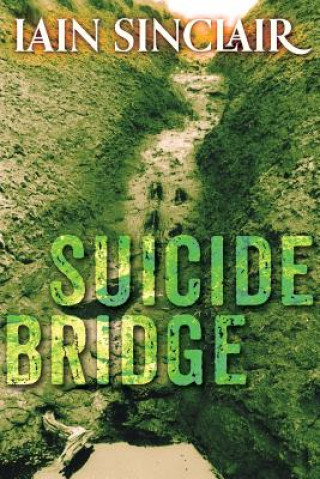 Книга Suicide Bridge Iain Sinclair