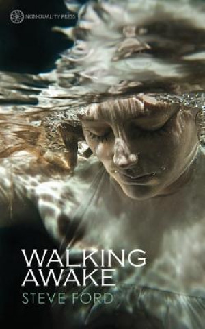 Carte Walking Awake Steve Ford