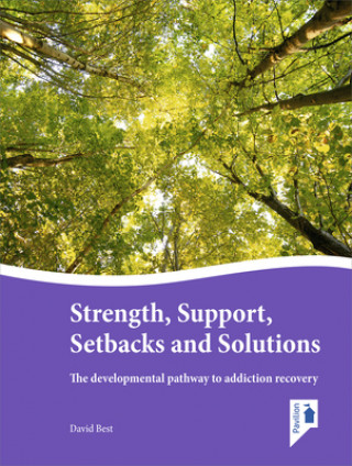 Könyv Strength, Support, Setbacks and Solutions David Best