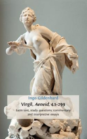 Könyv Virgil, Aeneid, 4.1-299 Gildenhard