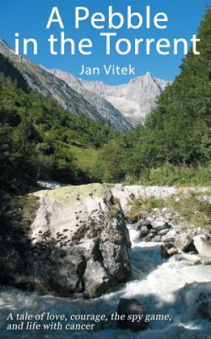 Kniha Pebble in the Torrent Jan Vítek
