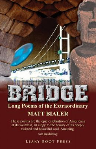 Kniha Bridge Matt Bialer