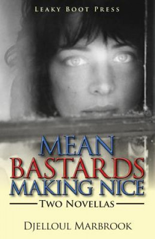 Kniha Mean Bastards Making Nice-Two Novellas Djelloul Marbrook