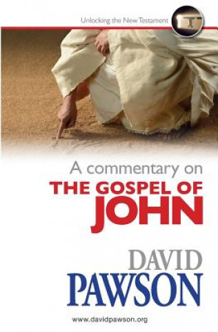 Book Commentary on the Gospel of John David Pawson