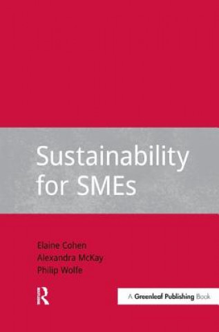 Buch Sustainability for SMEs Philip Wolfe