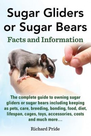 Książka Sugar Gliders or Sugar Bears Richard Pride