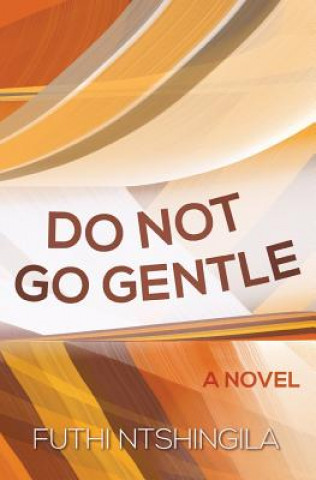 Libro Do not go gentle Futhi Ntshingila