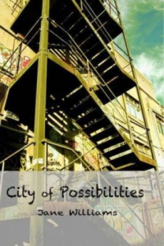 Kniha City of Possibilities Jane Williams