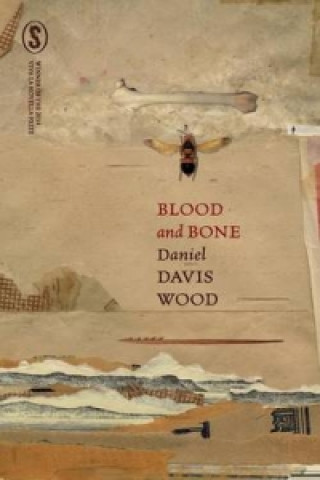 Kniha Blood and Bone Daniel Davis Wood