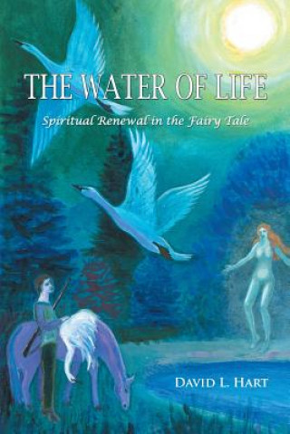 Könyv Water of Life David L Hart