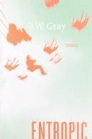 Книга Entropic R.W. Gray