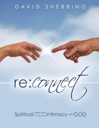 Libro Reconnect David Sherbino