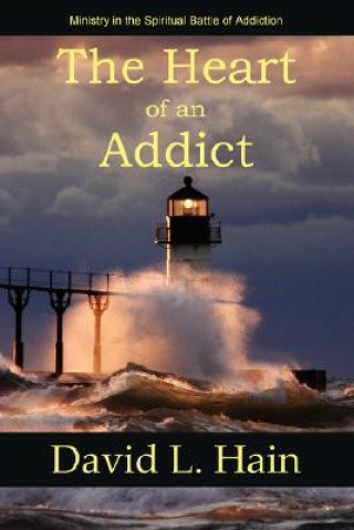 Kniha Heart of an Addict David L. Hain