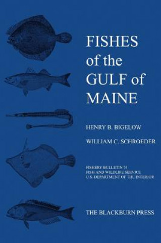 Βιβλίο Fishes of the Gulf of Maine William C. Schroeder