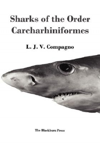 Kniha Sharks of the Order Carcharhiniformes L. J.V. Compagno