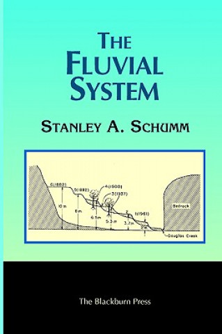 Kniha Fluvial System Schumm