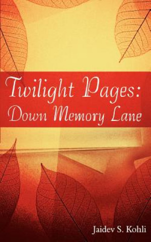 Kniha Twilight Pages Jaidev S Kohli