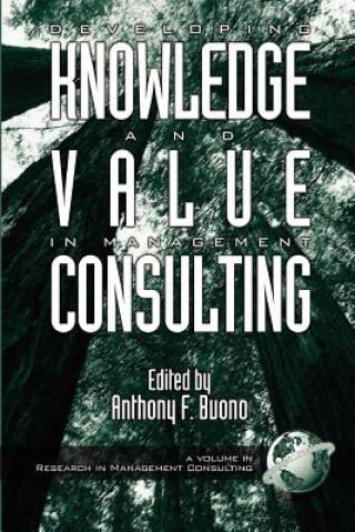 Książka Knowledge and Value Development in Management Consulting 