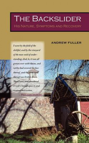 Kniha Backslider Andrew Fuller