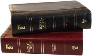 Buch Text Bible-GW-Large Print 