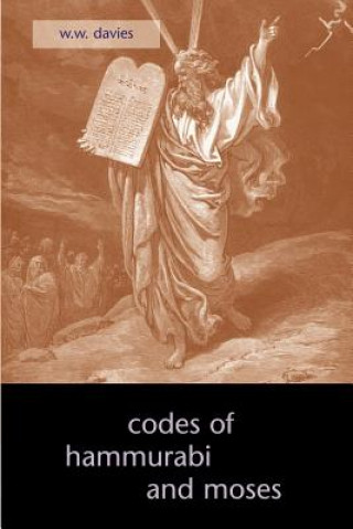 Livre Codes of Hammurabi and Moses W W Davies