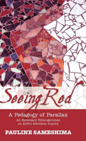 Kniha Seeing Red--A Pedagogy of Parallax Pauline Sameshima