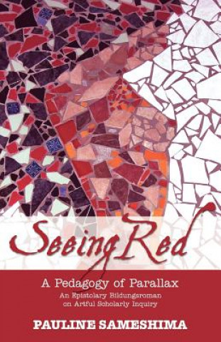 Kniha Seeing Red--A Pedagogy of Parallax Pauline Sameshima