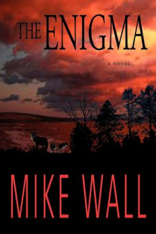 Carte Enigma Mike Wall