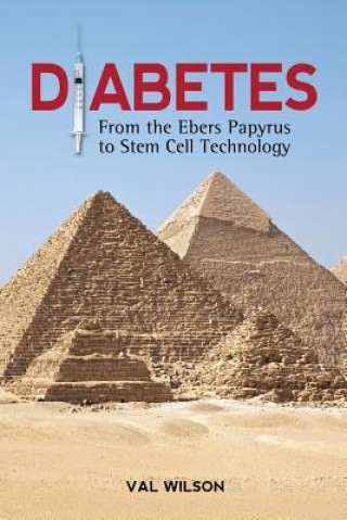 Buch Diabetes Val Wilson